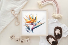 Paradise Flower Clipart Bundle - CraftNest - Digital Crafting and Art