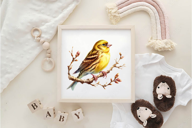 Canary Clipart Bundle - CraftNest - Digital Crafting and Art