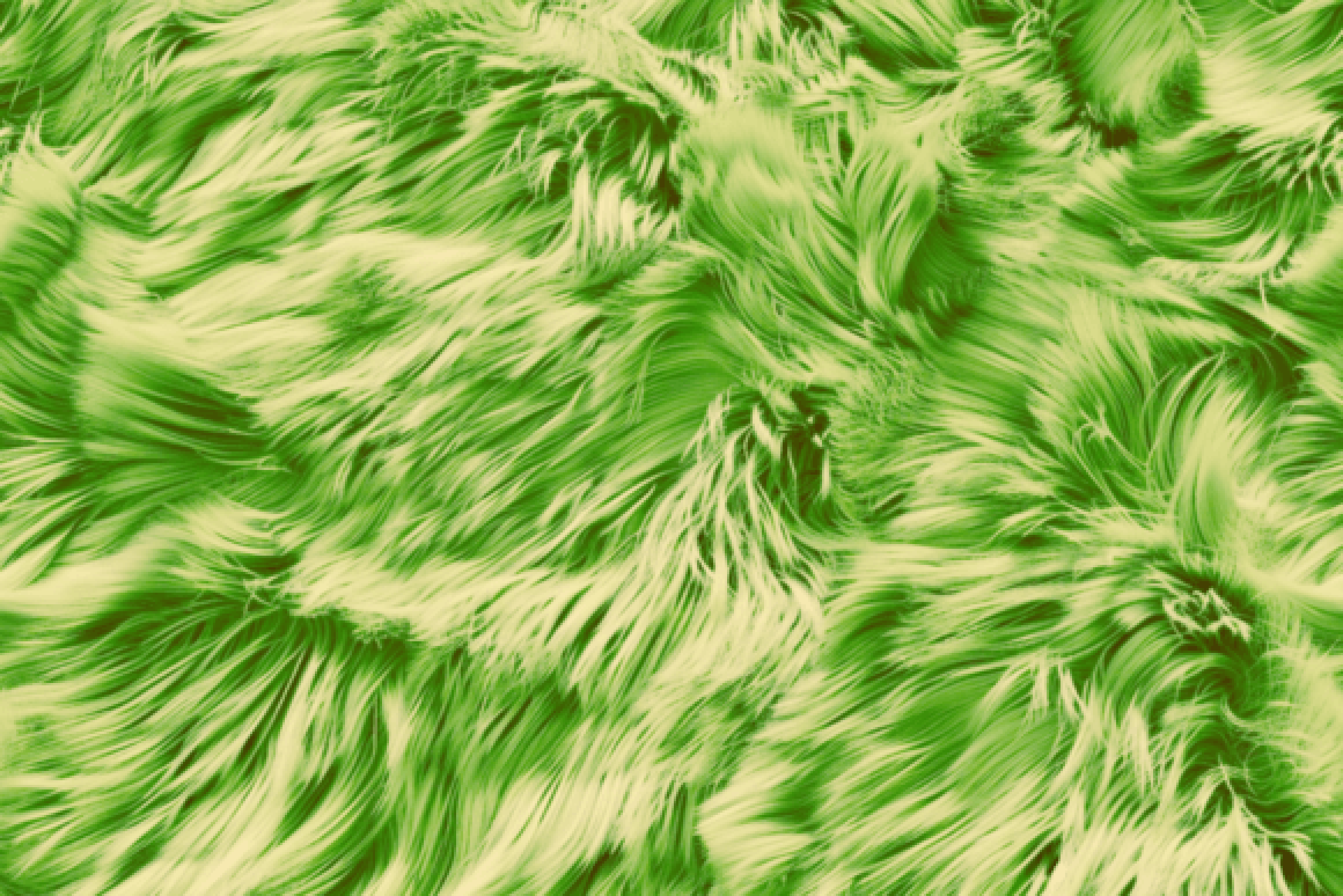 Seamless Fur Pattern Bundle