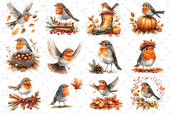 Robin Birds Clipart Bundle - CraftNest - Digital Crafting and Art