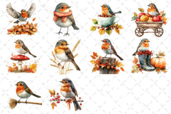 Robin Birds Clipart Bundle - CraftNest - Digital Crafting and Art