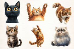 Surprised Funny Crazy Cat Clipart Bundle - CraftNest - Digital Crafting and Art