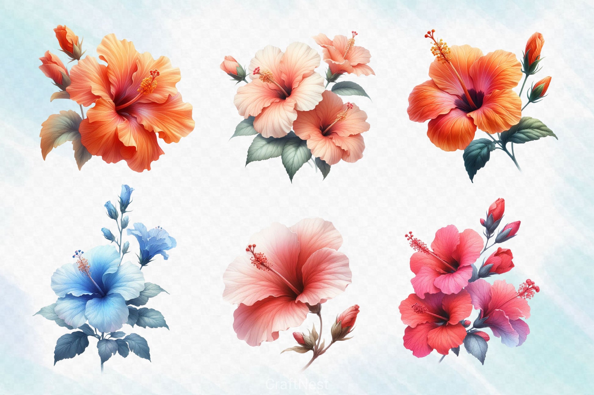 Colorful Hibiscus Clipart Bundle - CraftNest - Digital Crafting and Art