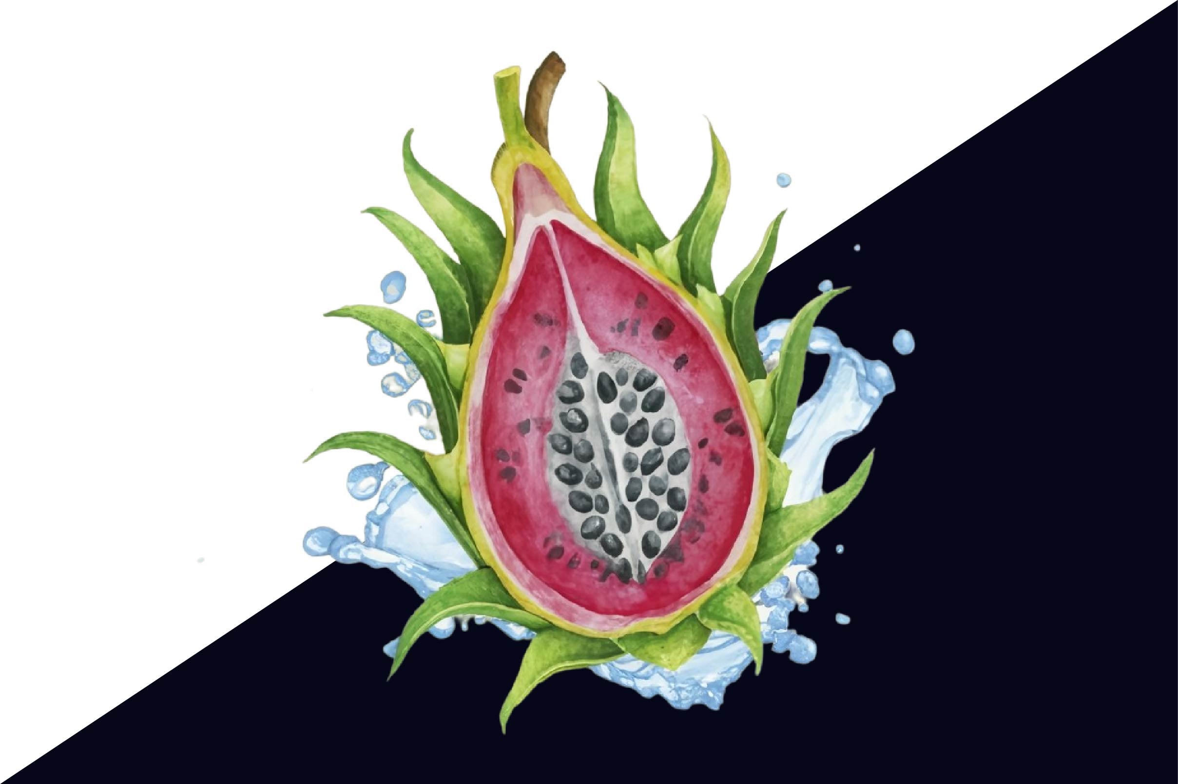 Dragon Fruit Clipart Bundle 1 - CraftNest - Digital Crafting and Art