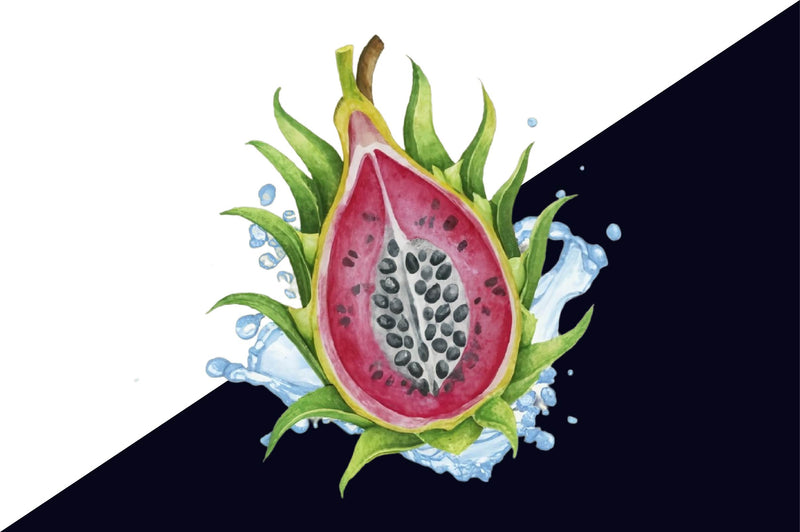 Dragon Fruit Clipart Bundle 1 - CraftNest - Digital Crafting and Art