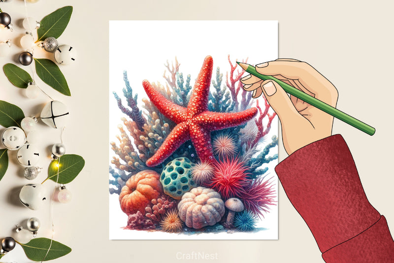 Shells & Corals Clipart Bundle - CraftNest - Digital Crafting and Art