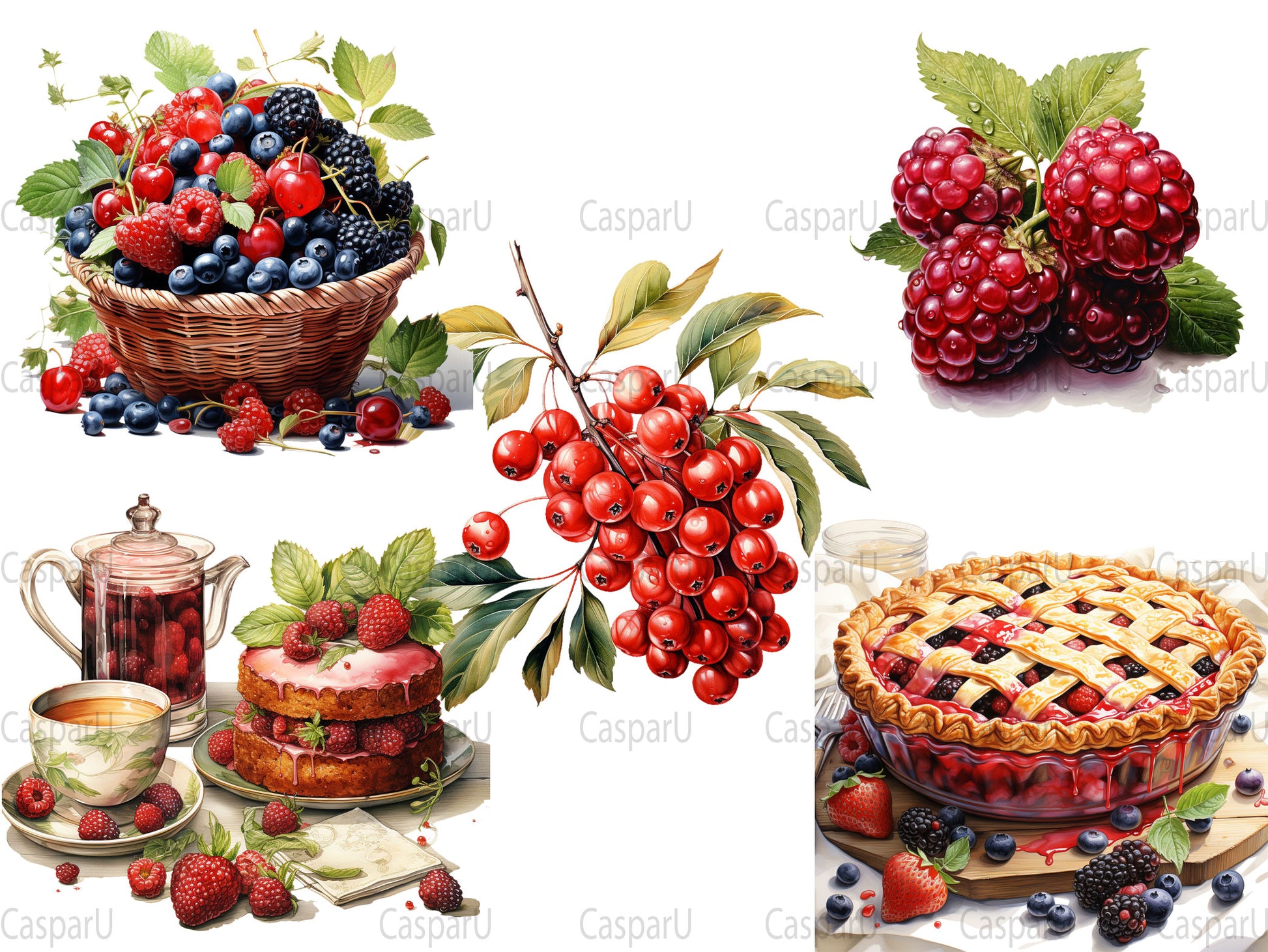 Berry Collections Clipart - CraftNest