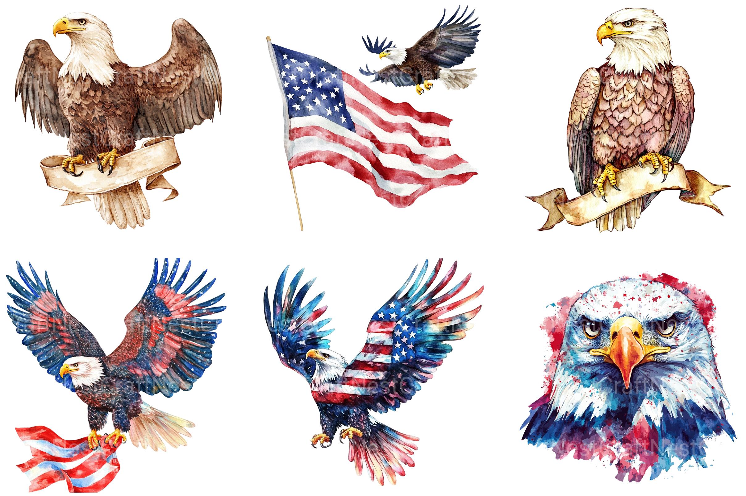 Cute Baby Bald Eagle 4th of July Clipart - CraftNest - Digital Crafting and Art