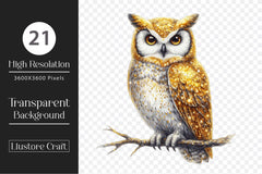 Bright Owl Clipart Bundle 2 - CraftNest - Digital Crafting and Art
