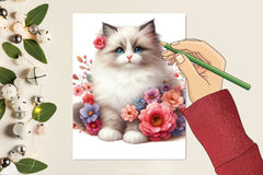 Ragdoll Cat Clipart Bundle - CraftNest - Digital Crafting and Art