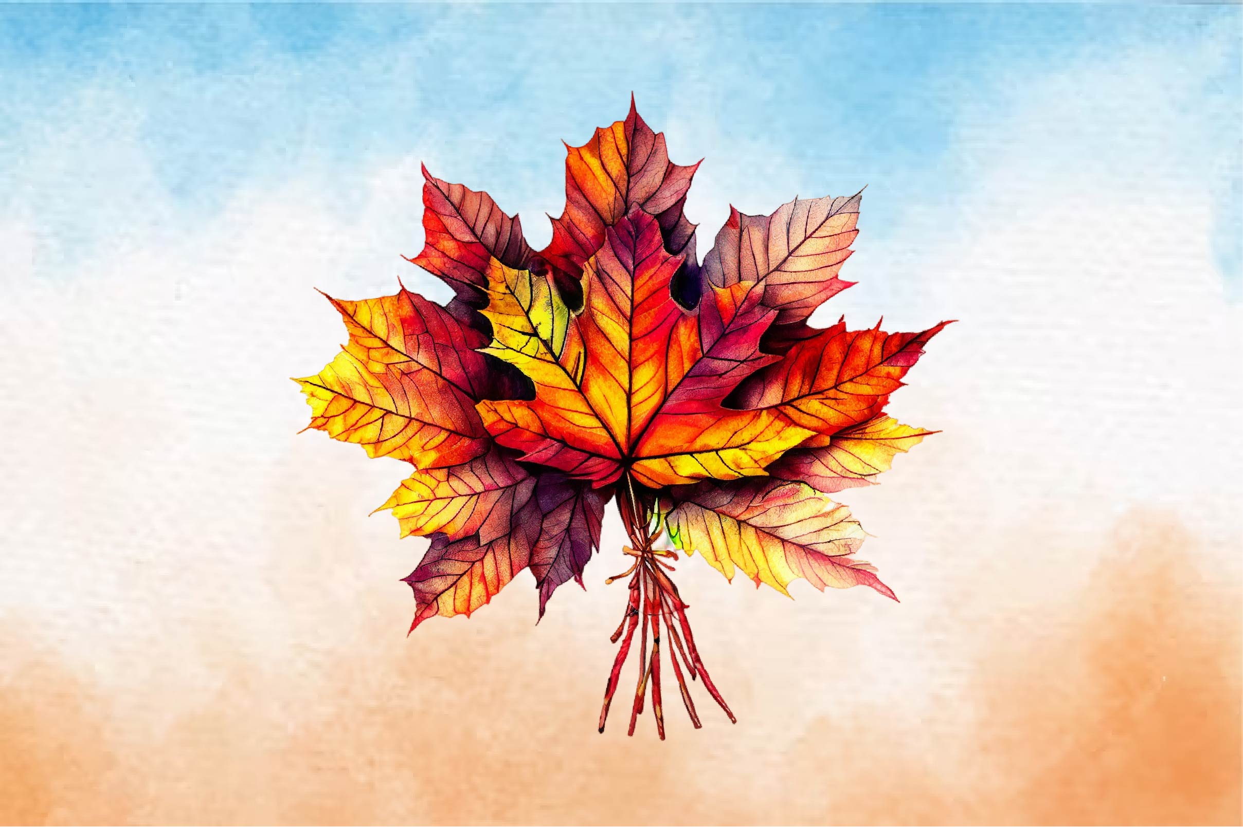 Composition Sketch Leaf Clipart Bundle - CraftNest - Digital Crafting and Art