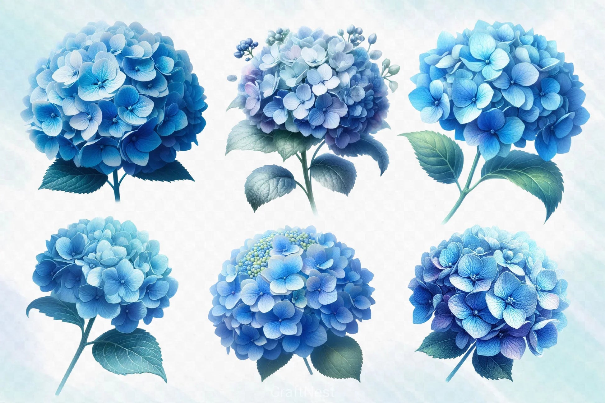 Hydrangea Flowers Clipart Bundle 2 - CraftNest - Digital Crafting and Art