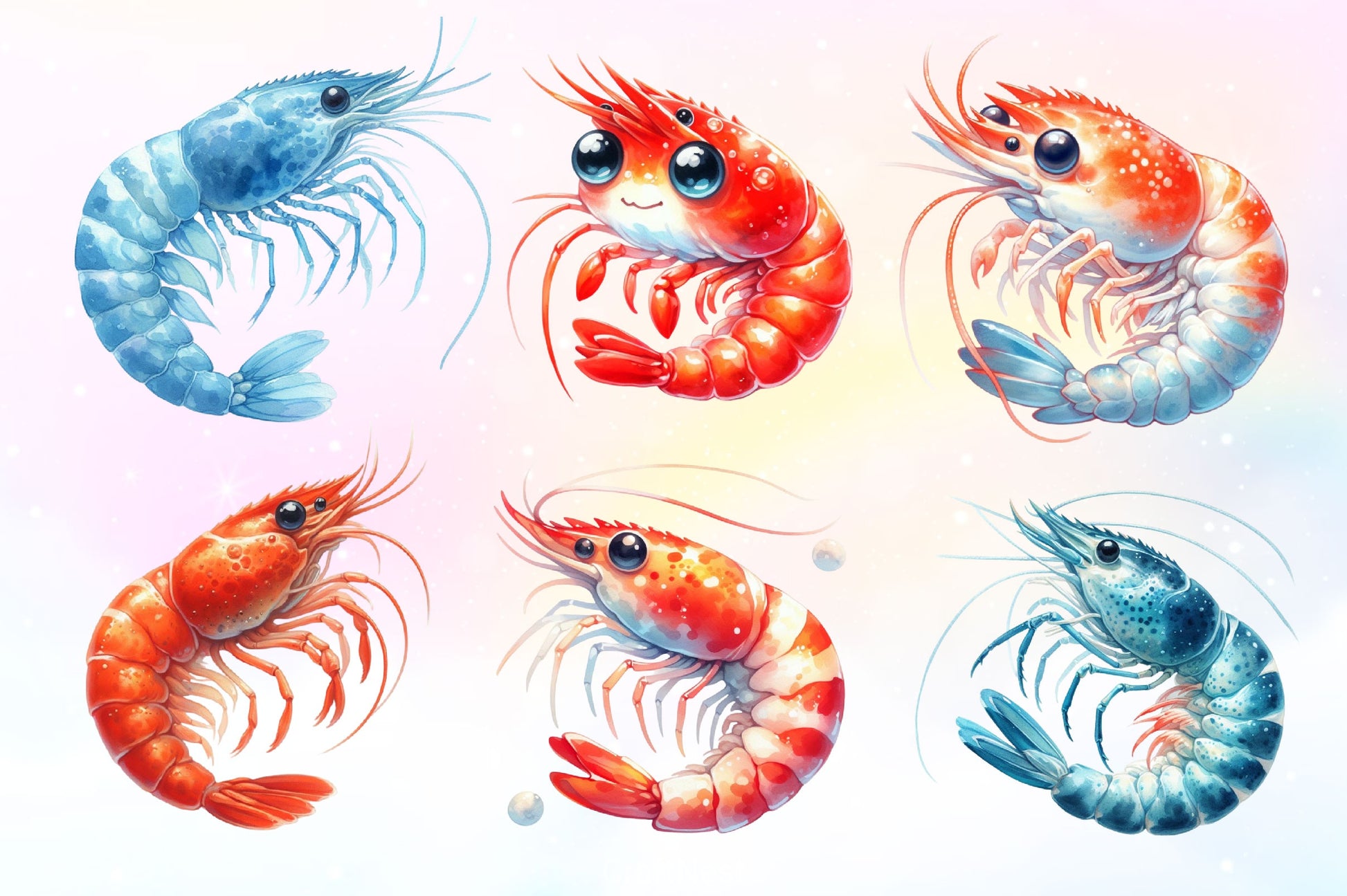 Cute Shrimp Clipart Bundle 2 - CraftNest - Digital Crafting and Art