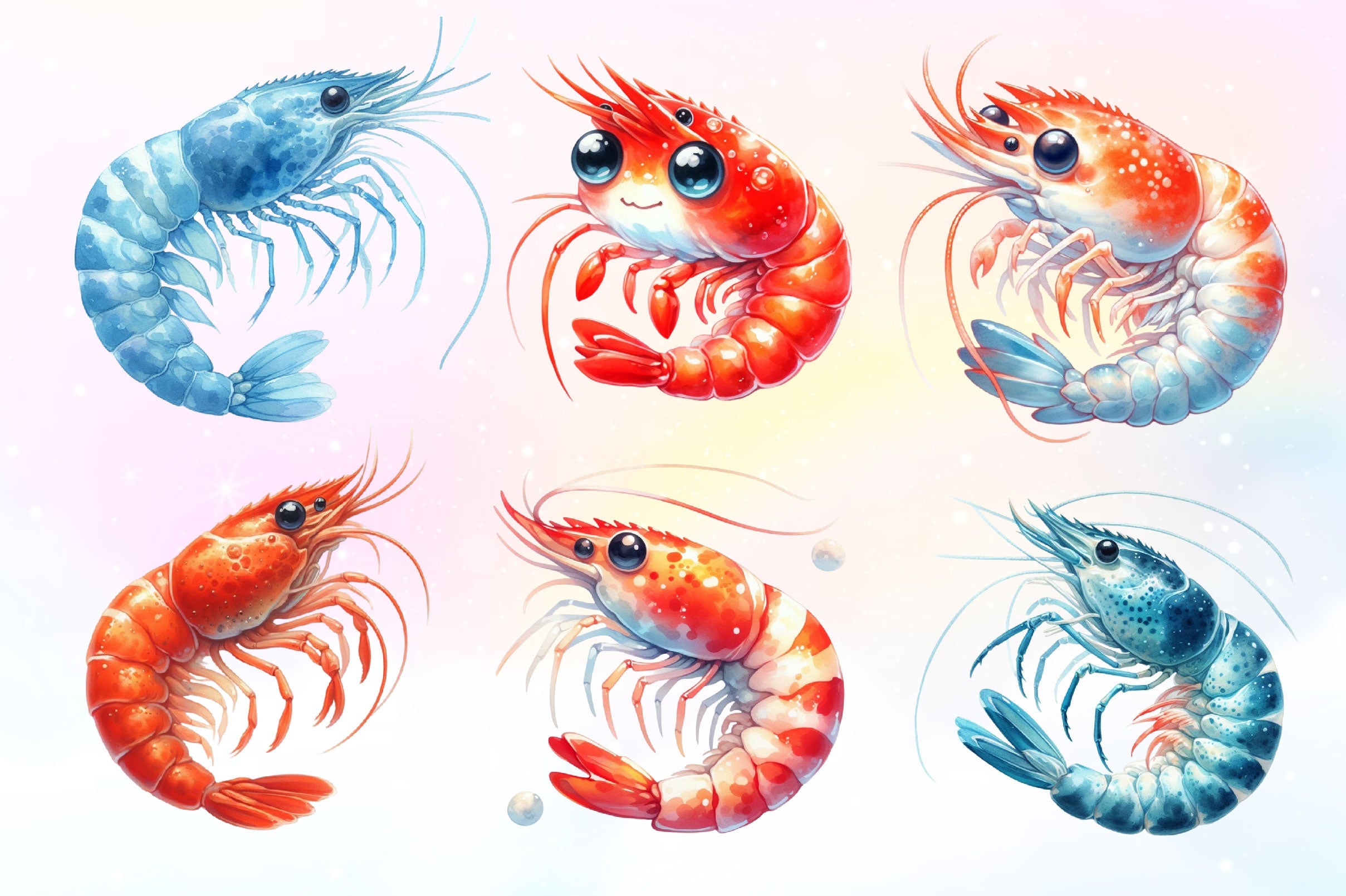Cute Shrimp Clipart Bundle 2 - CraftNest - Digital Crafting and Art