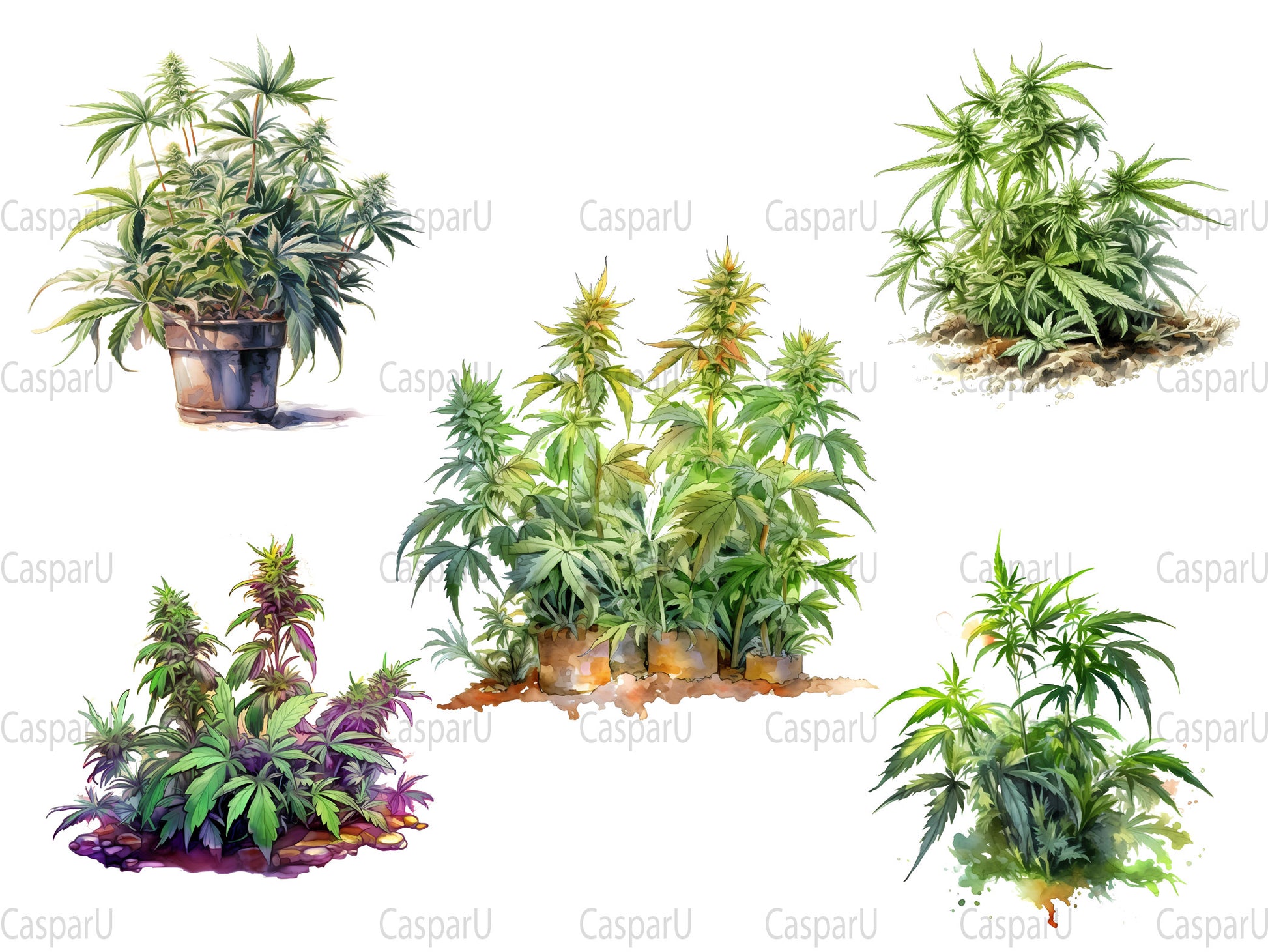 Cannabis Plants Clipart - CraftNest