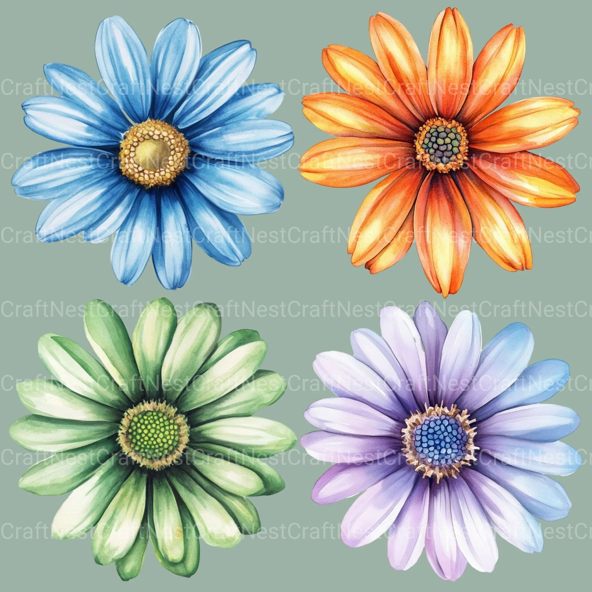 Daisies Clipart Bundle - CraftNest - Digital Crafting and Art