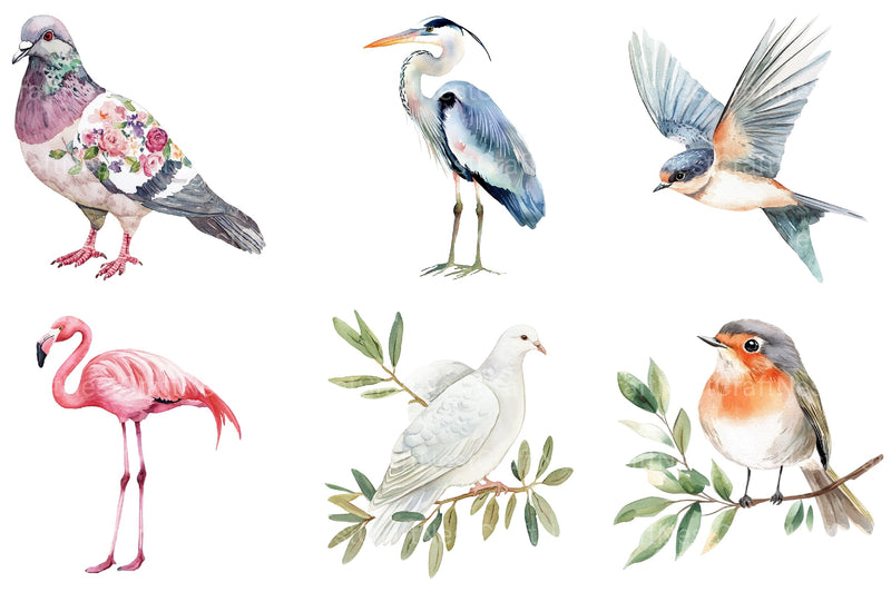 Summer Bird Clipart Bundle - CraftNest - Digital Crafting and Art
