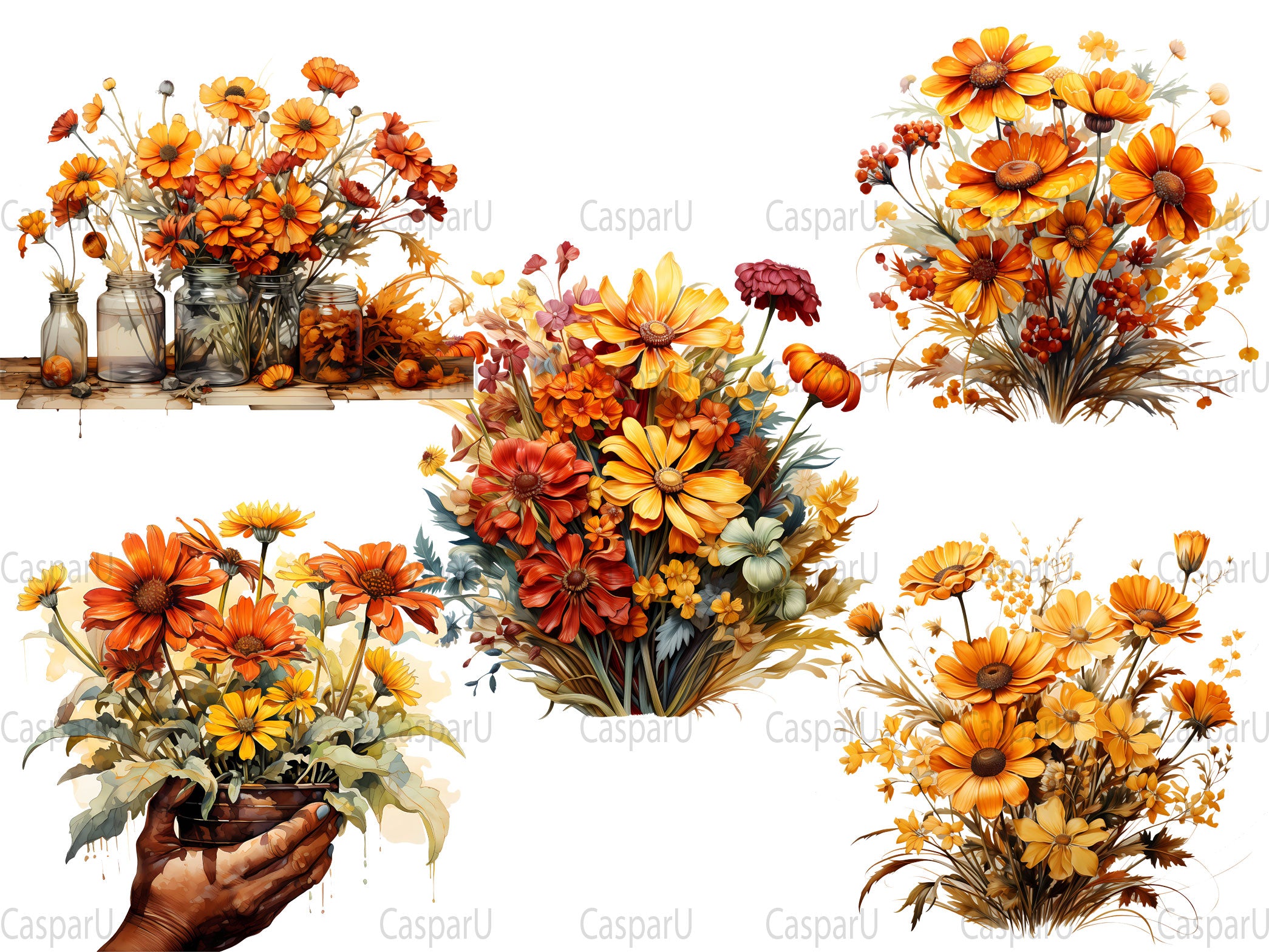 Helenium Harmony Clipart - CraftNest