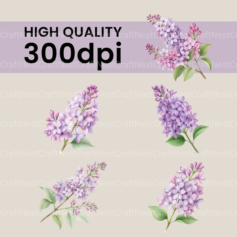Lilacs Clipart Bundle - CraftNest - Digital Crafting and Art