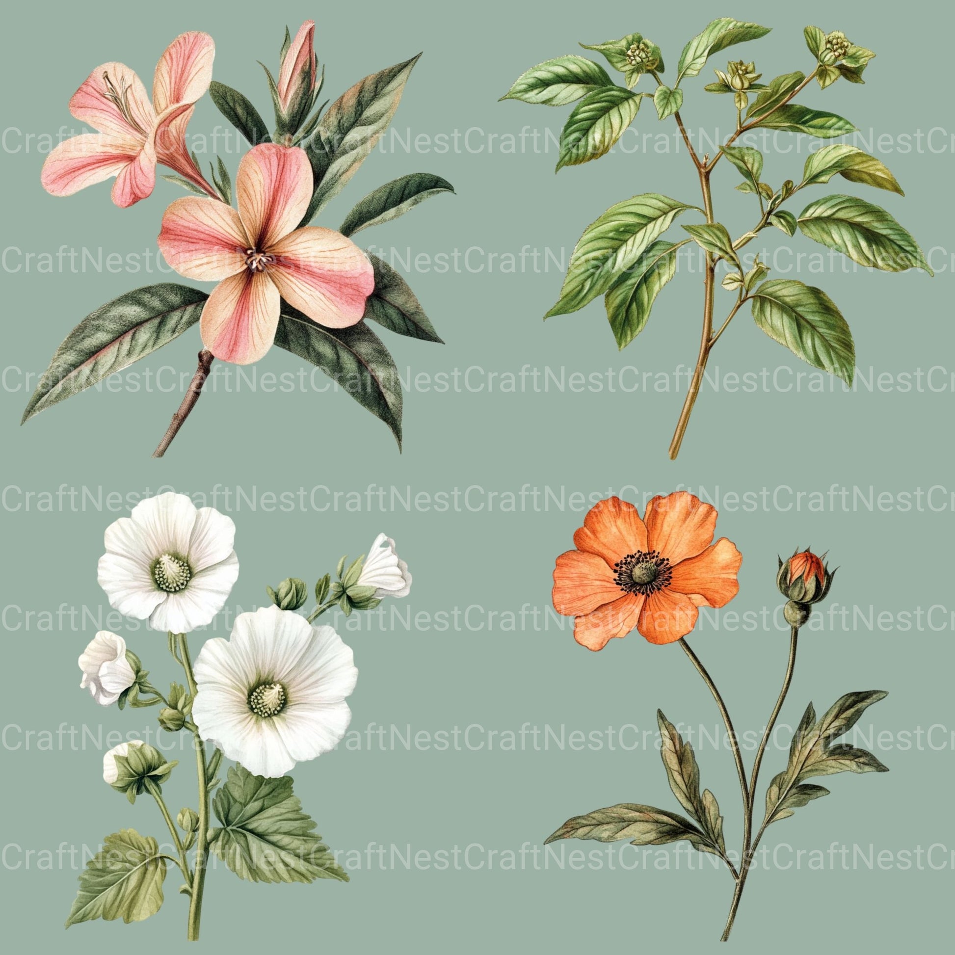 Vintage Botanical Clipart Bundle - CraftNest - Digital Crafting and Art