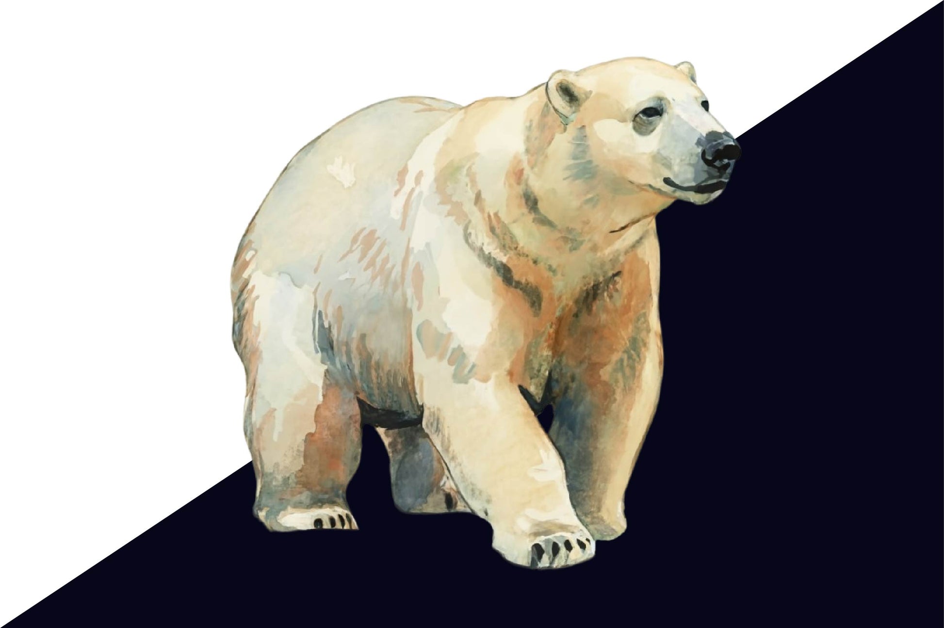Polar Bear Clipart Bundle - CraftNest - Digital Crafting and Art