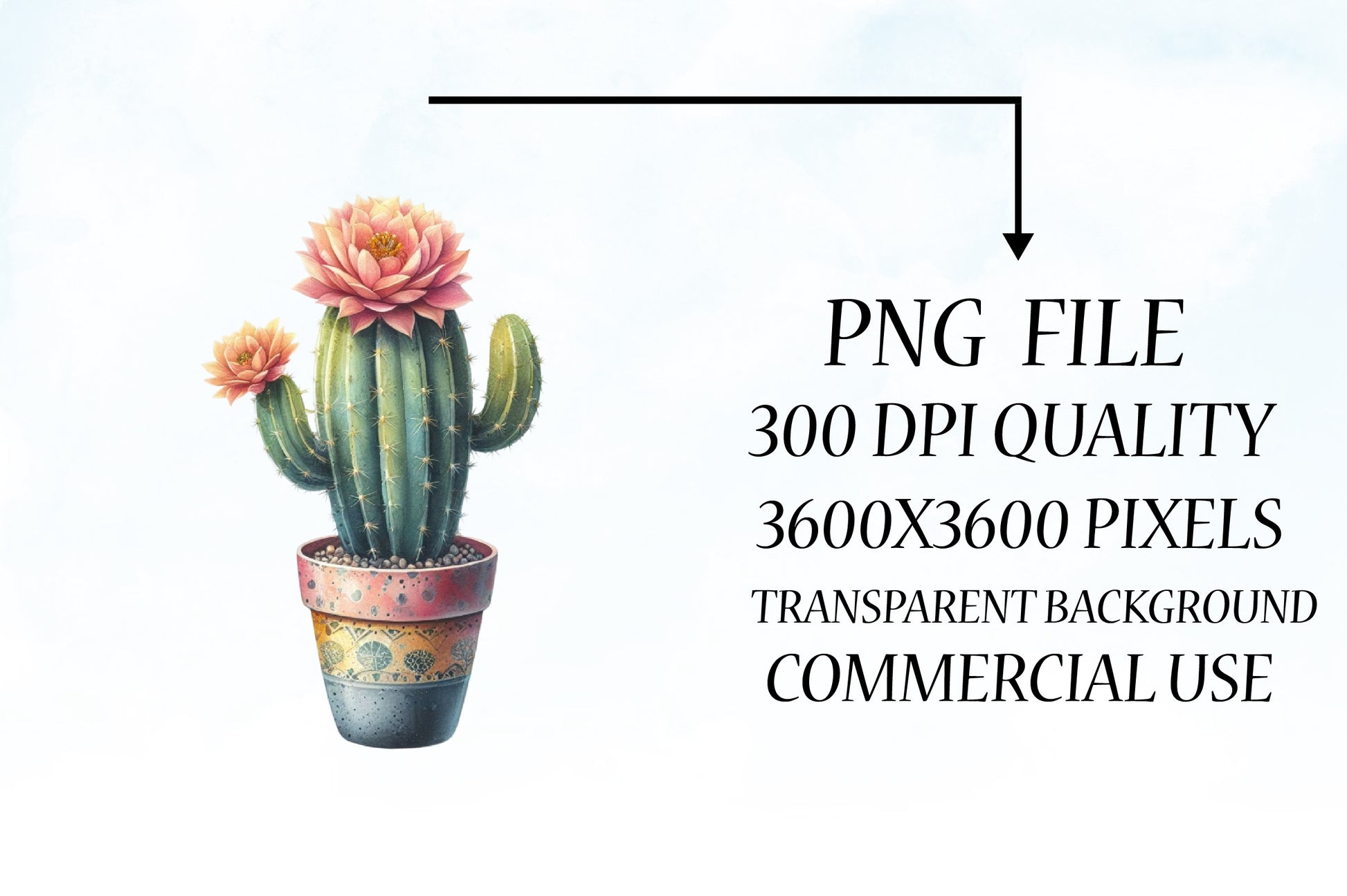 Floral Cactus Clipart Bundle - CraftNest - Digital Crafting and Art