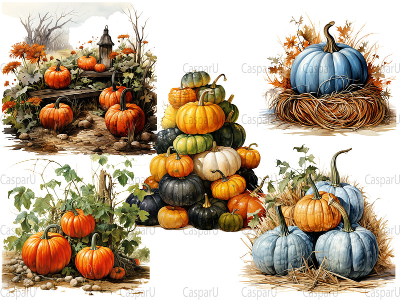 Pumpkin Varieties Clipart - CraftNest