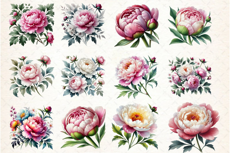 Peonies Clipart Bundle - CraftNest - Digital Crafting and Art