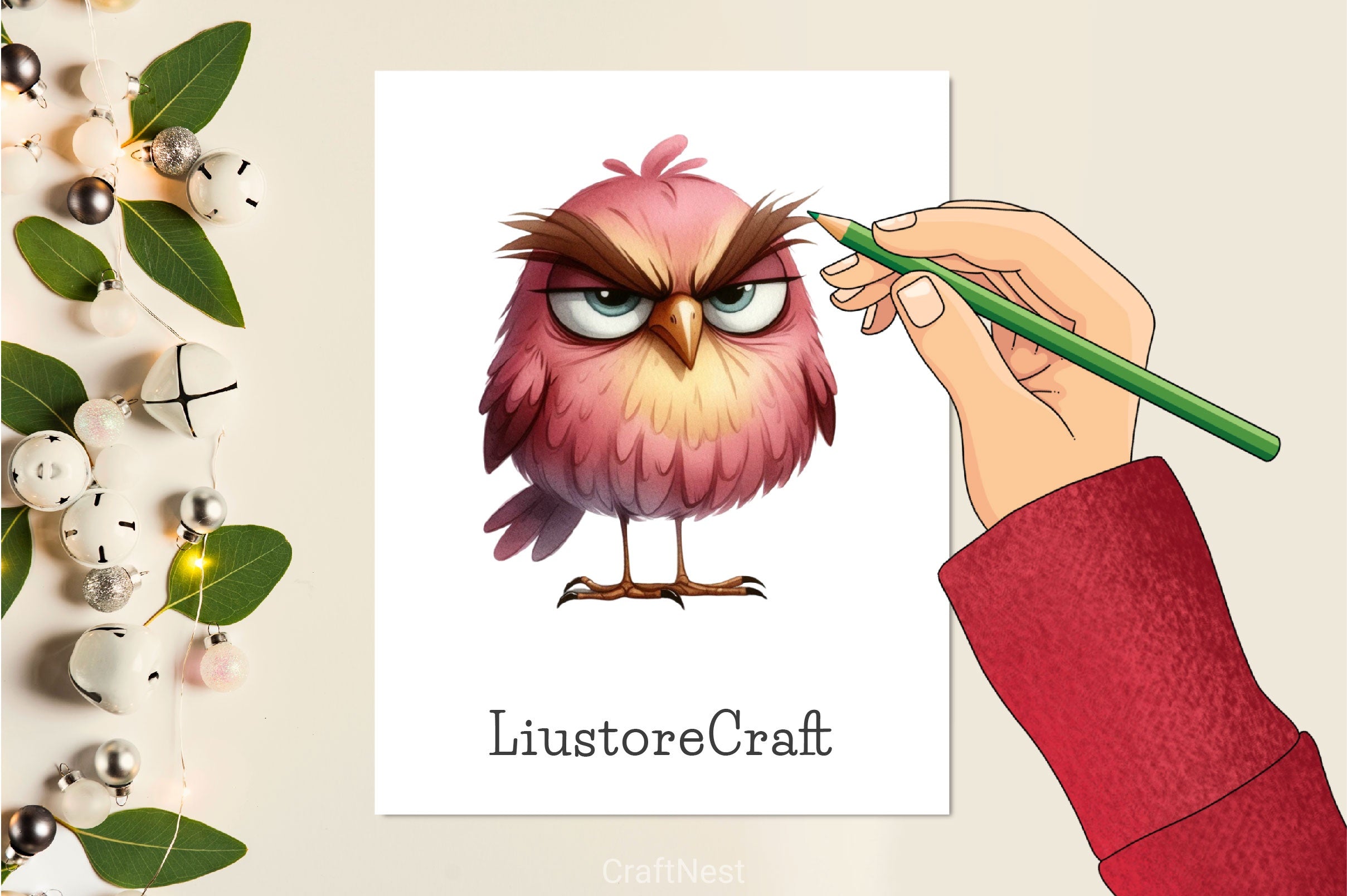 Funny Grumpy Bird Clipart Bundle - CraftNest - Digital Crafting and Art