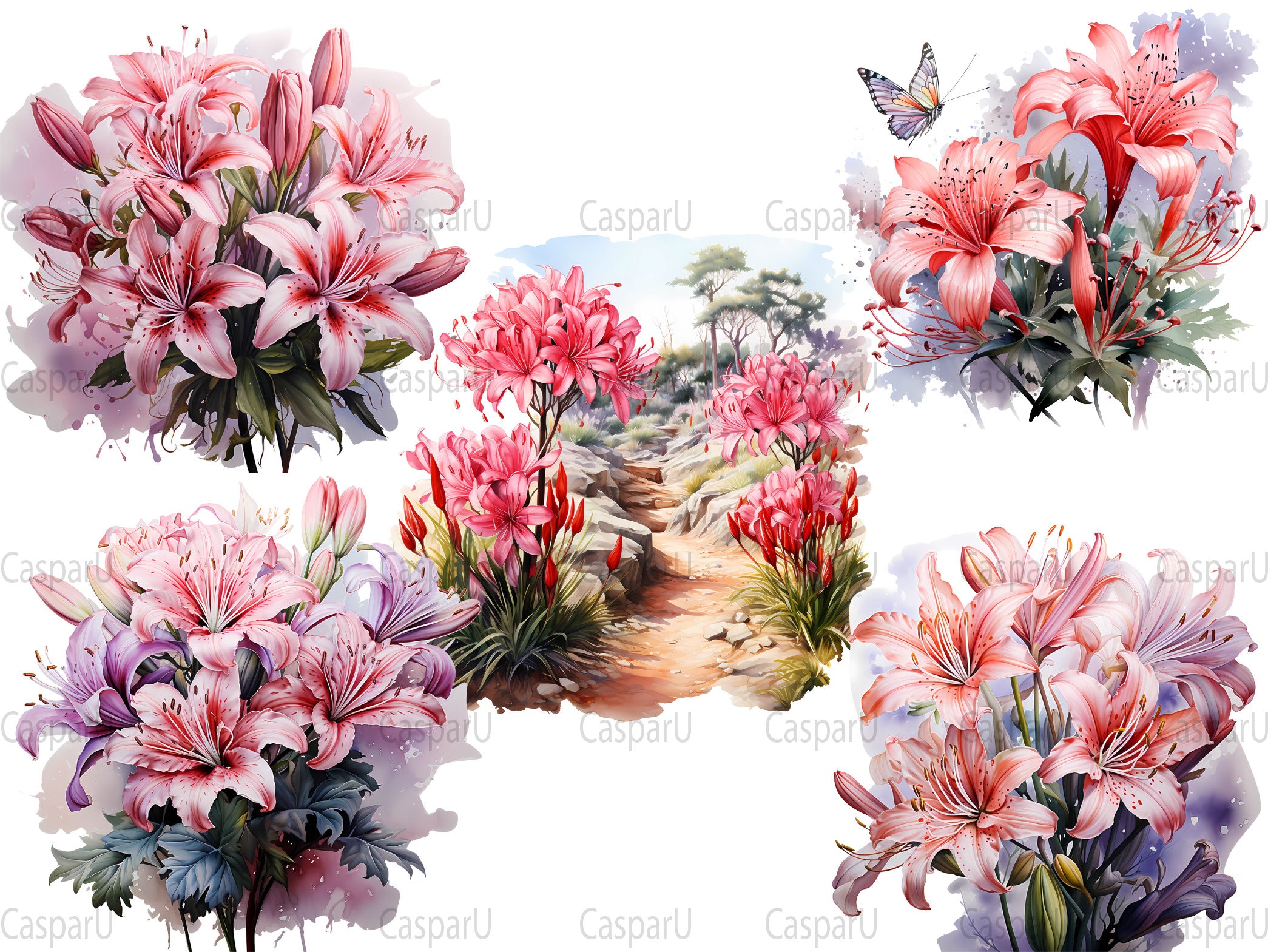 Nerine Novelties Clipart - CraftNest