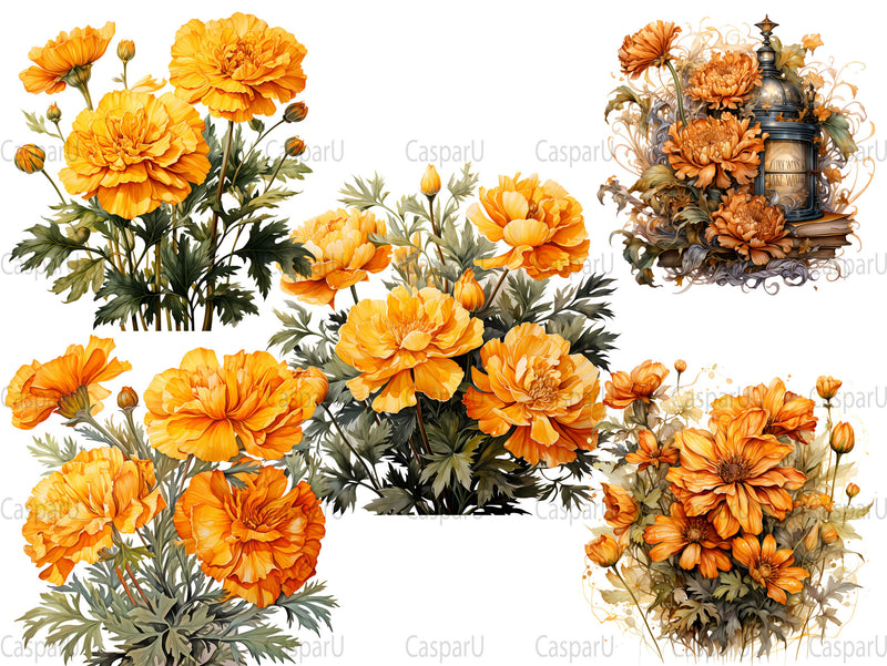 Marigold Magic Clipart - CraftNest