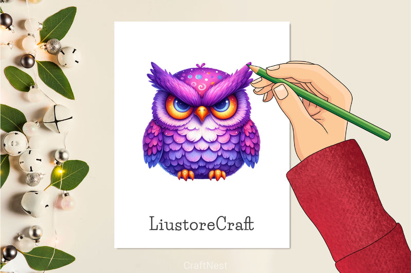 Funny Grumpy Owl Clipart Bundle - CraftNest - Digital Crafting and Art