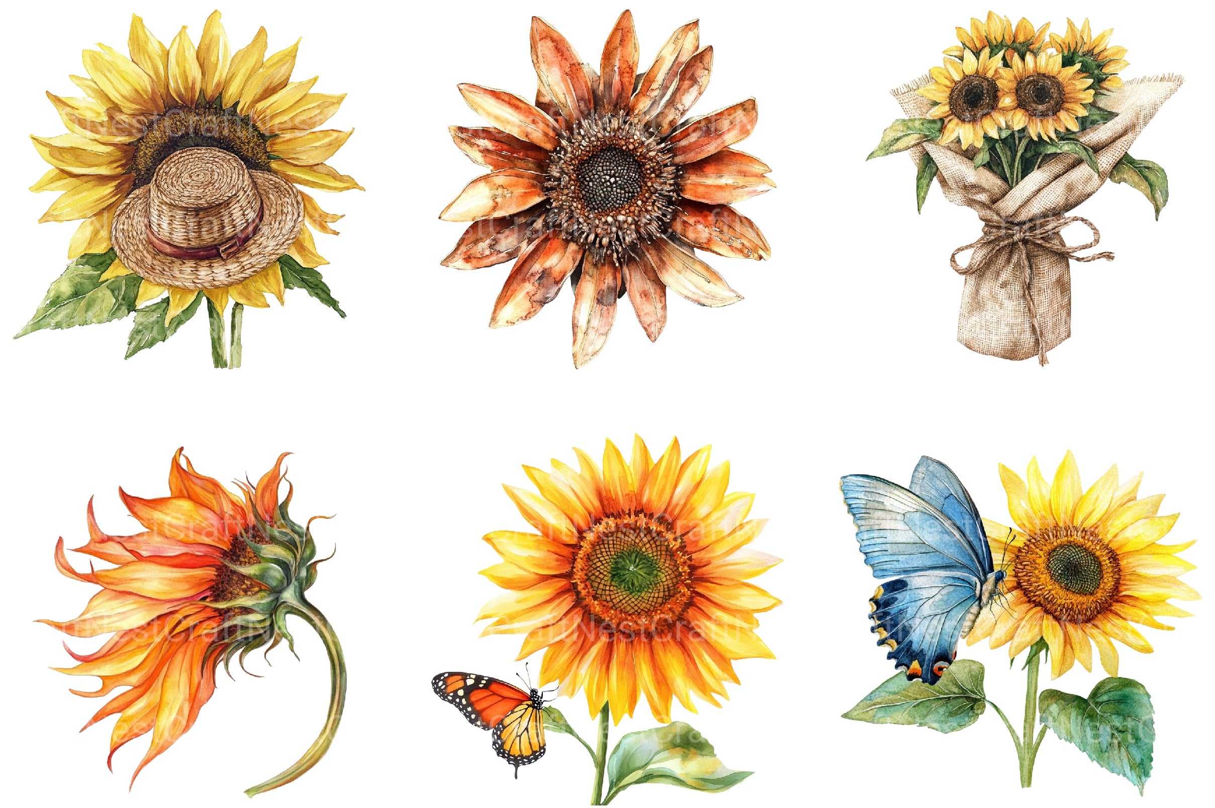 Summer Sunflower Clipart Bundle - CraftNest - Digital Crafting and Art