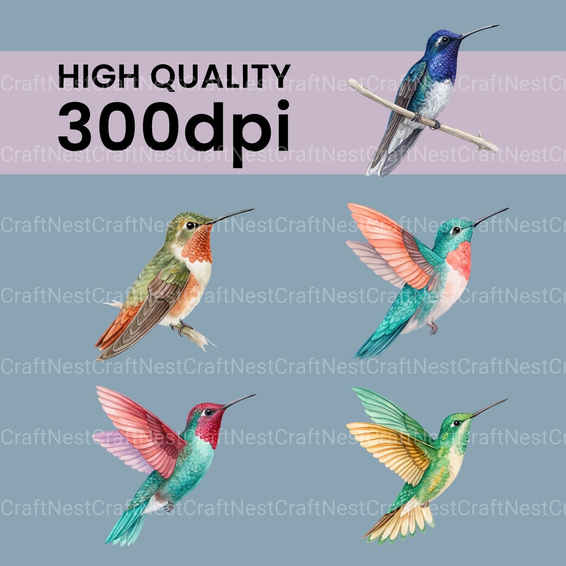 Hummingbirds Clipart Bundle - CraftNest - Digital Crafting and Art