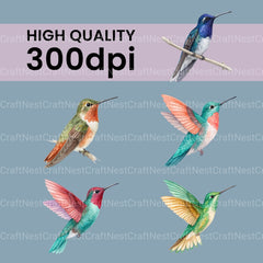 Hummingbirds Clipart Bundle - CraftNest - Digital Crafting and Art