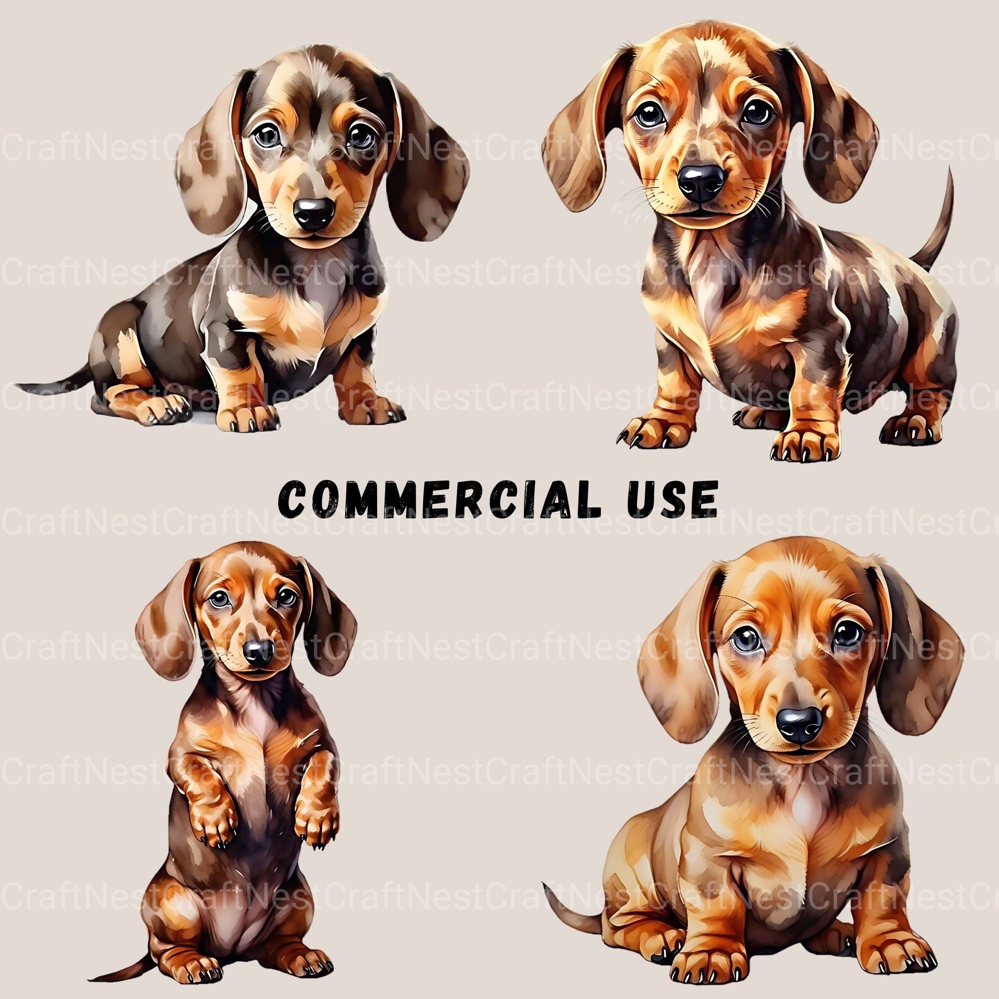 Dachshund Puppies Clipart Bundle 1 - CraftNest - Digital Crafting and Art
