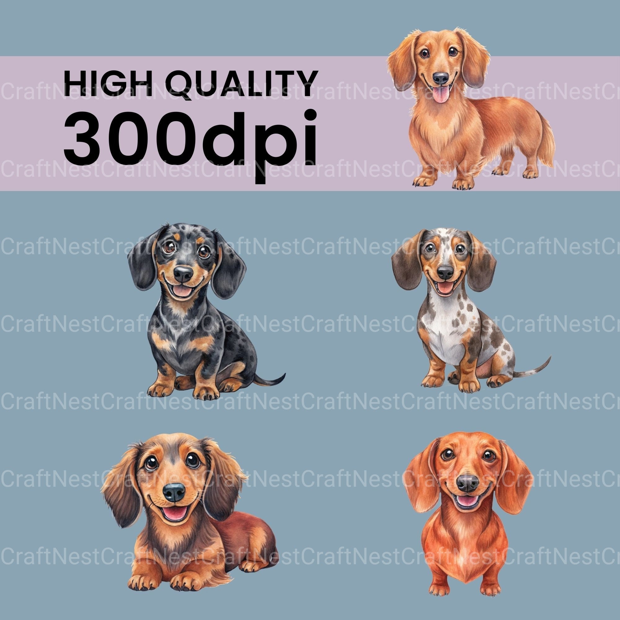 Dachshunds Smiling Clipart Bundle - CraftNest - Digital Crafting and Art