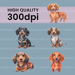 Dachshunds Smiling Clipart Bundle - CraftNest - Digital Crafting and Art