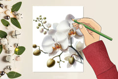 White Orchid Clipart Bundle - CraftNest - Digital Crafting and Art