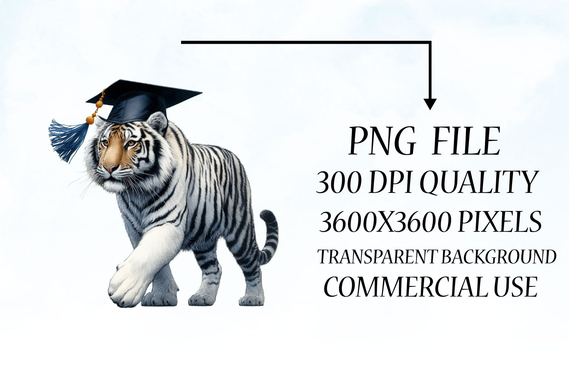 Graduation Animals Clipart Bundle - CraftNest - Digital Crafting and Art