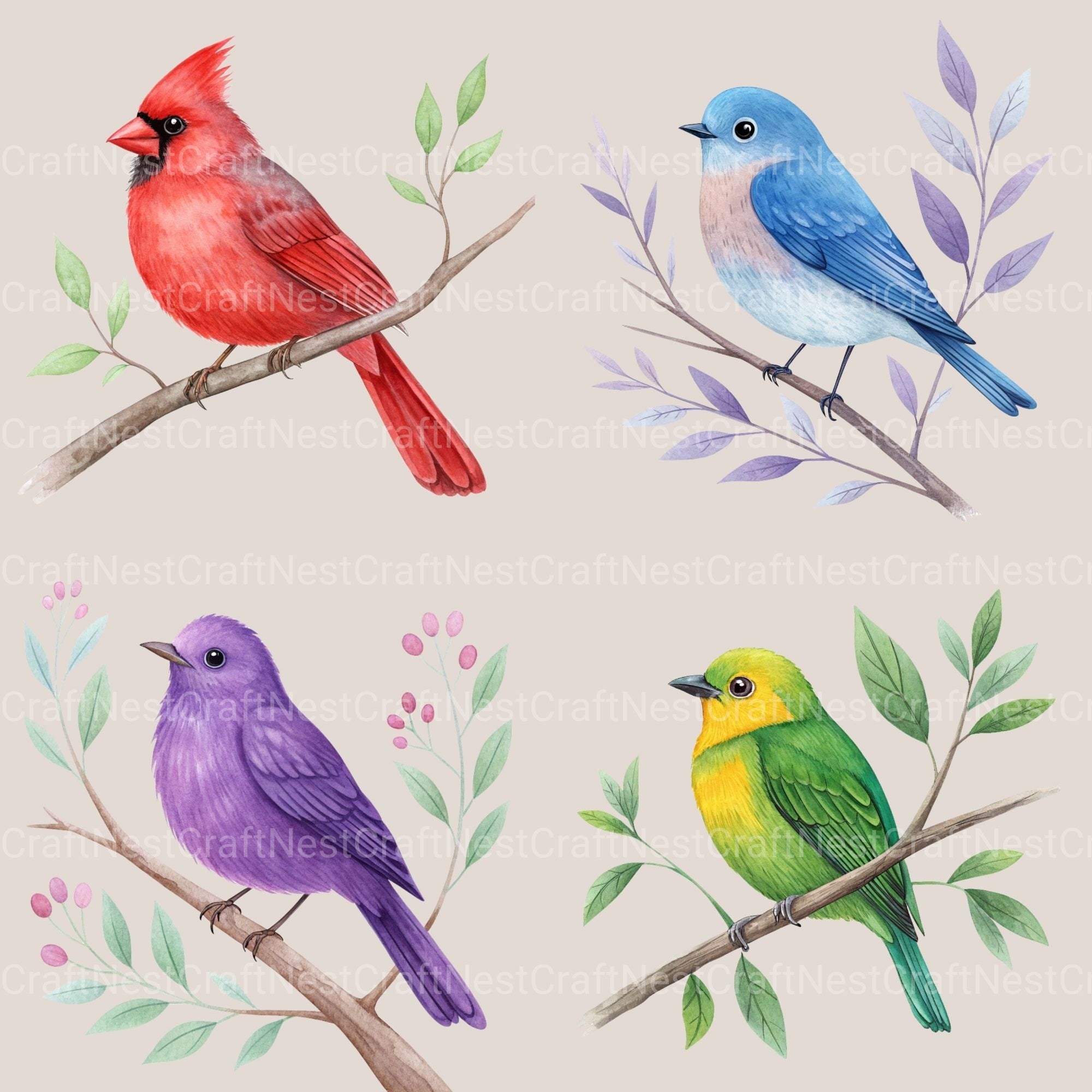 Birds Clipart Bundle 8 - CraftNest - Digital Crafting and Art
