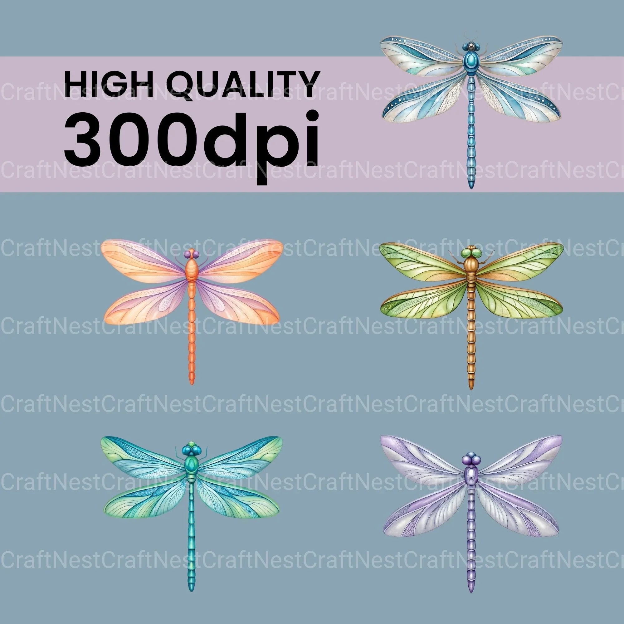 Dragonflies Clipart Bundle 2 - CraftNest - Digital Crafting and Art