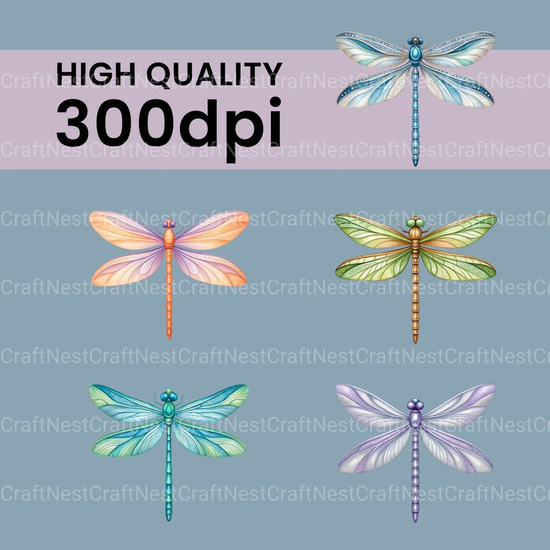 Dragonflies Clipart Bundle 2 - CraftNest - Digital Crafting and Art