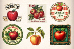 Vintage Apple Clipart Bundle - CraftNest - Digital Crafting and Art