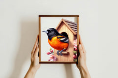 Baltimore Oriole Bird Clipart Bundle - CraftNest - Digital Crafting and Art