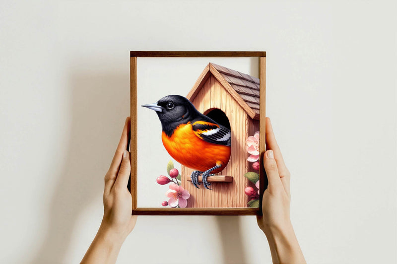 Baltimore Oriole Bird Clipart Bundle - CraftNest - Digital Crafting and Art