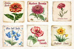 Vintage Flowers Seed Packet Clipart Bundle 2 - CraftNest - Digital Crafting and Art
