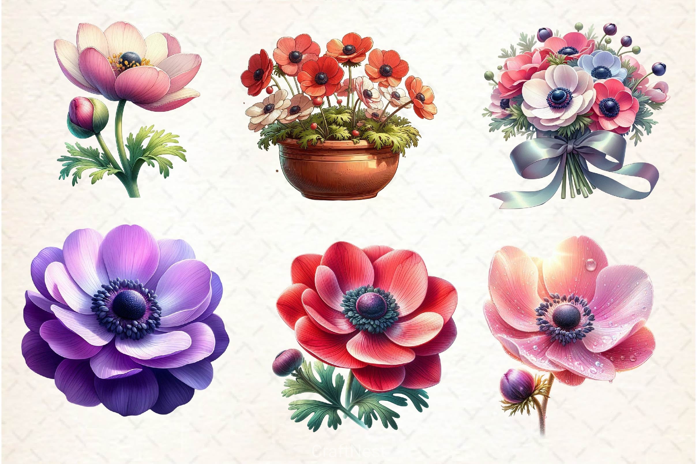 Anemone Flower Bloom Clipart Bundle - CraftNest - Digital Crafting and Art