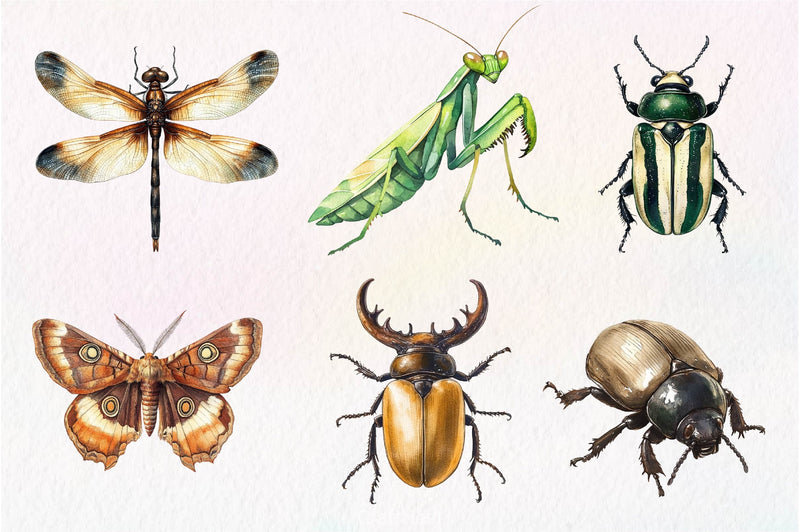 Vintage Insect Clipart Bundle - CraftNest - Digital Crafting and Art