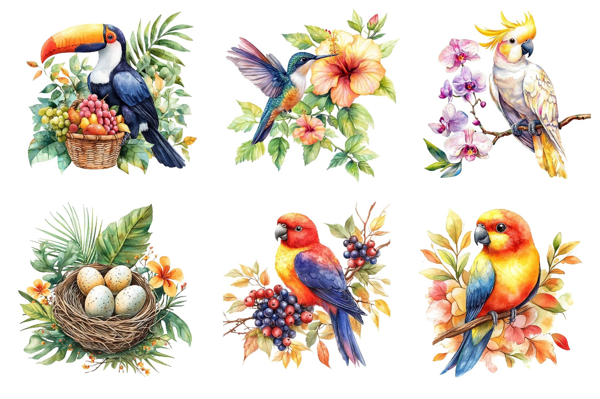 Tropical Birds Garden Clipart Bundle - CraftNest - Digital Crafting and Art